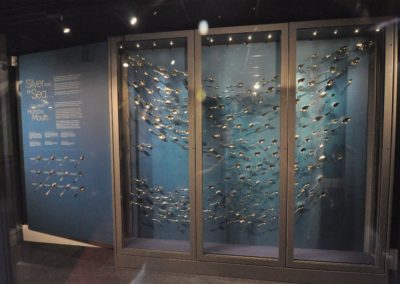 Display of 250 silver civic spoons